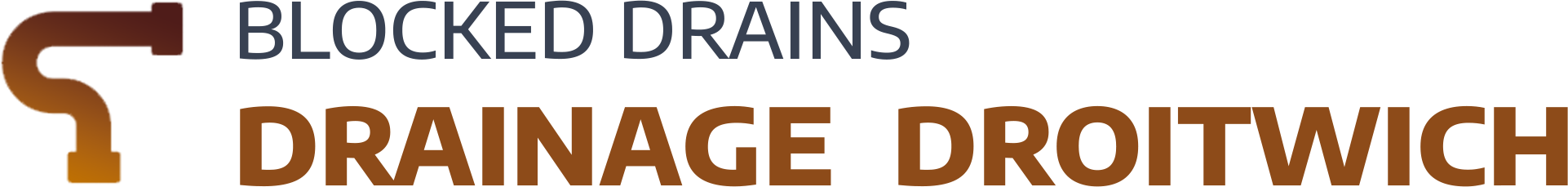 website logo